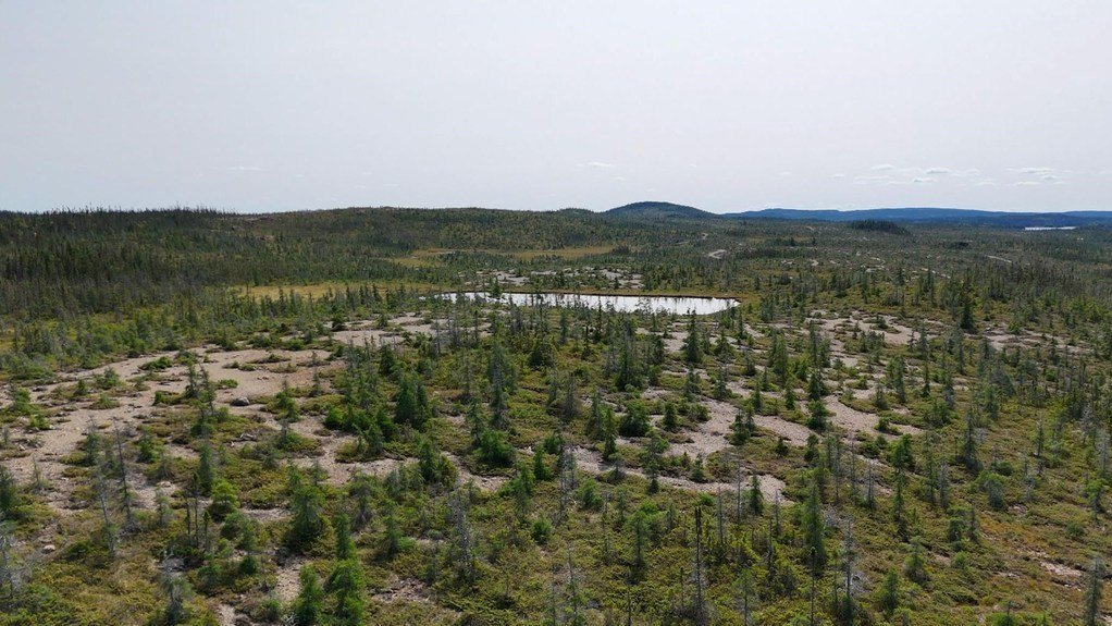 Pipestone XL project area