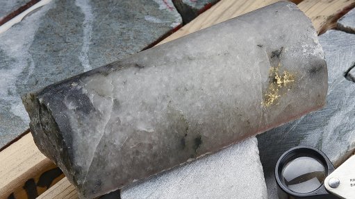 Drill core from Great Bear project