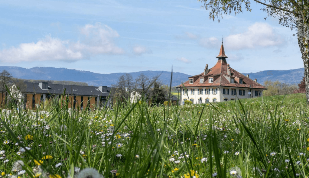 Switzerland landscape