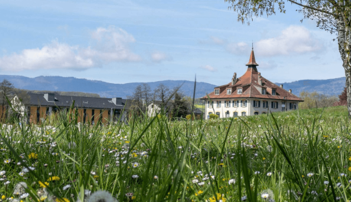 Switzerland landscape