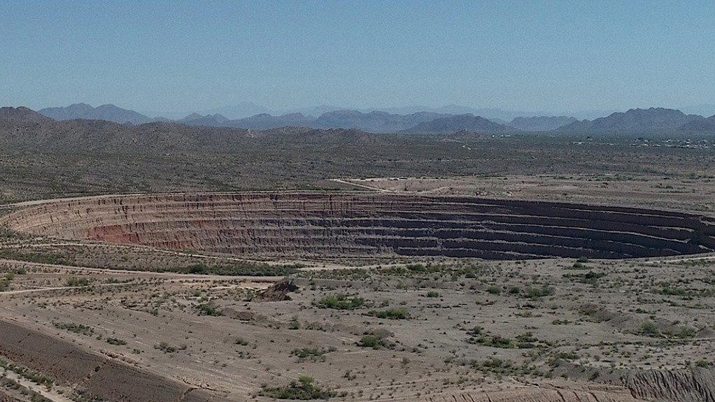 Arizona Sonoran's Cactus project
