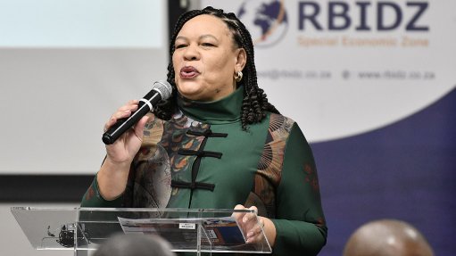 Industrial Zones Programme chief operations officer Stieneke Jensma