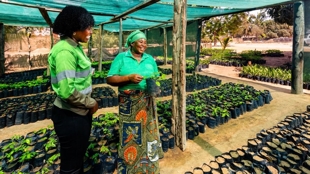Kenmare workers in a greenhouse with seedlings