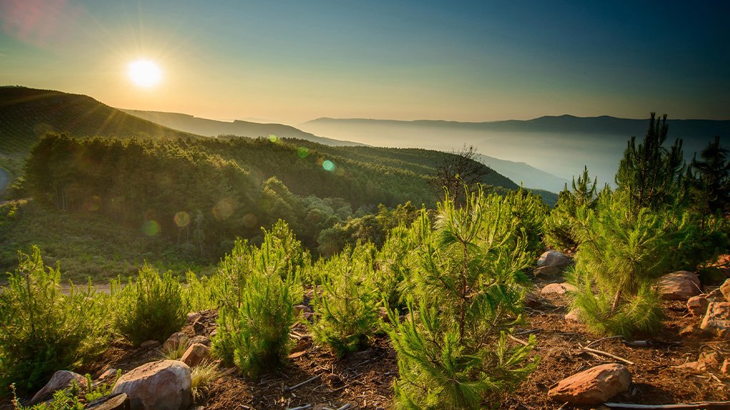 Redefining value through the bioeconomy