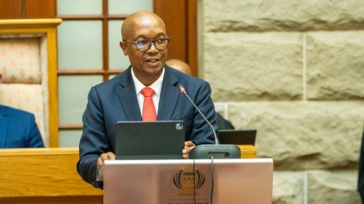 Trade, Industry and Competition Minister Parks Tau