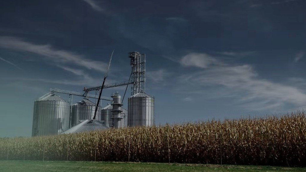 Crops for biofuel production