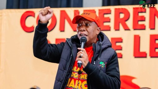 Image of Julius Malema
