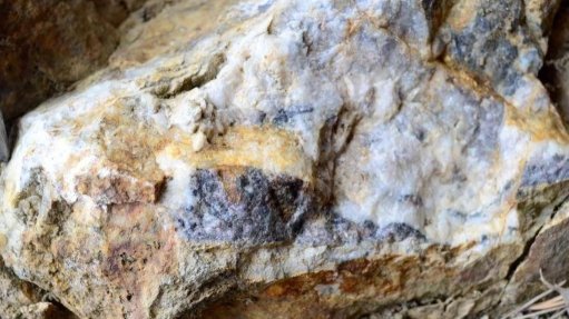 Rare earths ore 