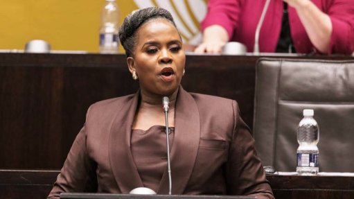 Employment and Labour Minister Nomakhosazana Meth