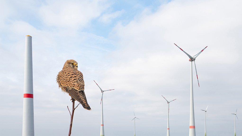 Renewable energy development and wildlife coexistence, underpinning the green hydrogen value chain. 