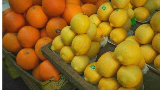 Supply chain industry body commends citrus export milestone but warns supply chain challenges could sour continued growth