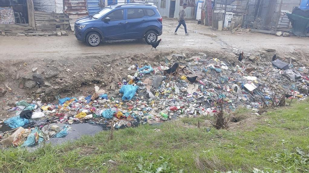 Plastics SA drives collaborative action for cleaner rivers and oceans ahead of world oceans day 2026