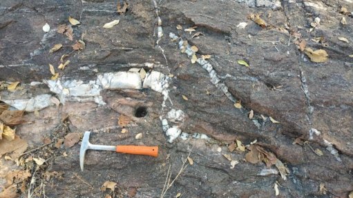 A shear zone at BWA Group's Aracari project, in Cameroon