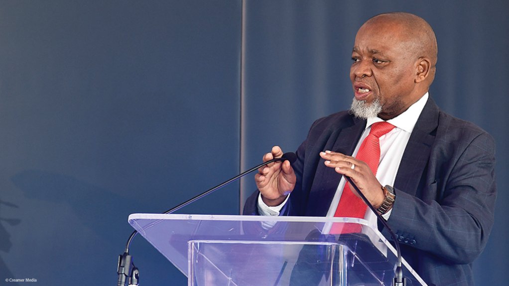 Mineral and Petroleum Resources Minister Gwede Mantashe.
