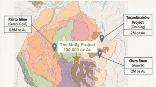 Molly gold project location relative to other gold projects in Brazil