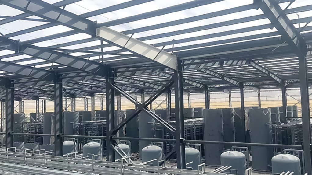 DLE plant