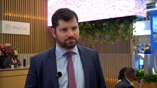 Mulilo CEO Jan Fourie