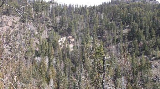 Las Pilas rare earths project area, in British Columbia