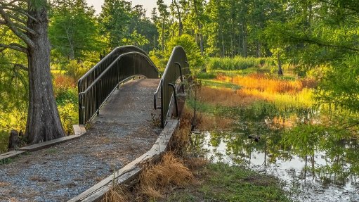 Sam Houston Jones State Park, in Louisiana