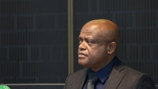 CoJ Mayor Dada Morero