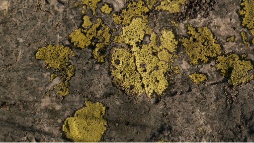 Uranium mineralisation