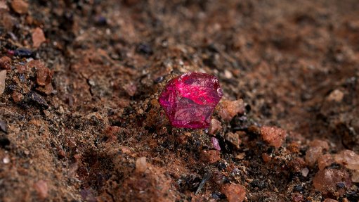 Rough ruby at the Montepuez mine