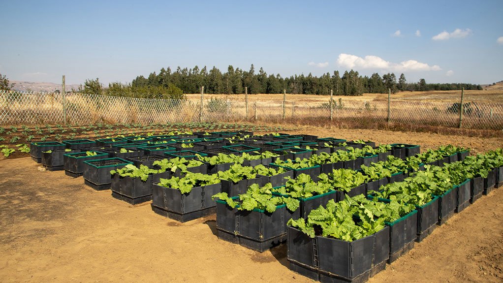 Kangra’s Water and Agriculture Projects cultivate change