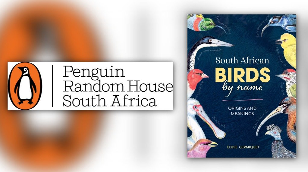South African Birds by Name - Origins and meanings