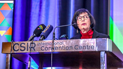 An image of Transport Minister Barbara Creecy 