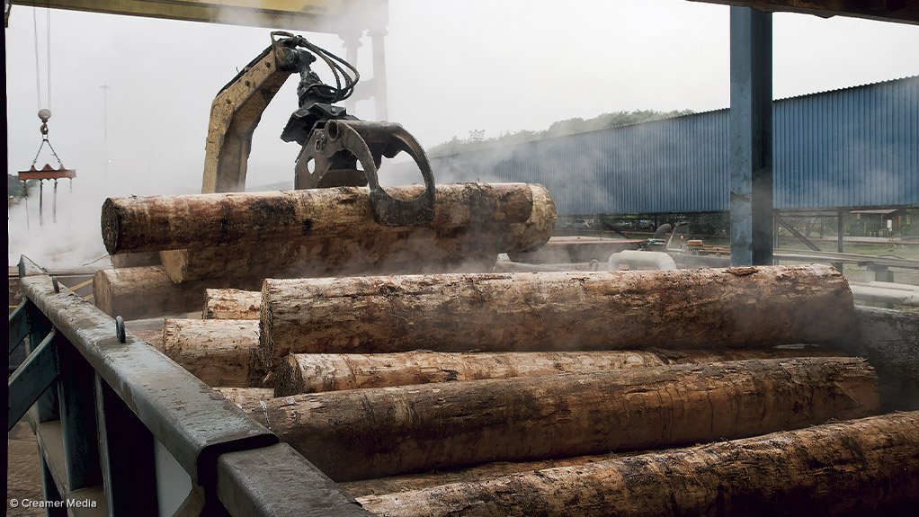 WHEELED ELECTRICITY: Electricity trader Discovery Green has signed a ten-year power purchase agreement with forest-product company York Timber Holdings. The deal will result in 90% of the energy consumed at the Jessievale sawmill in Mpumalanga being supplied by wheeled renewable electricity, and will reduce the JSE-listed company’s carbon emissions. Photograph: Creamer Media
