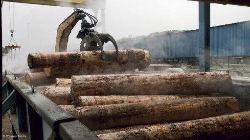 WHEELED ELECTRICITY: Electricity trader Discovery Green has signed a ten-year power purchase agreement with forest-product company York Timber Holdings. The deal will result in 90% of the energy consumed at the Jessievale sawmill in Mpumalanga being supplied by wheeled renewable electricity, and will reduce the JSE-listed company’s carbon emissions. Photograph: Creamer Media
