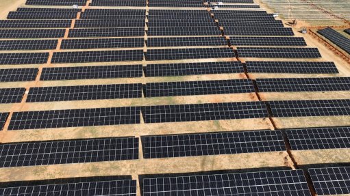 Solar panels at the Free State Bell Rive farm