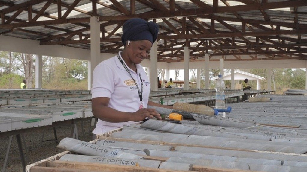 Drilling core from the Odienne project