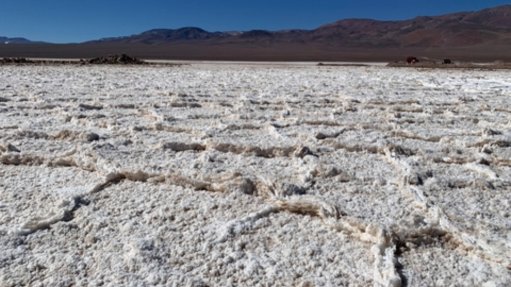 The Maricunga salt flat