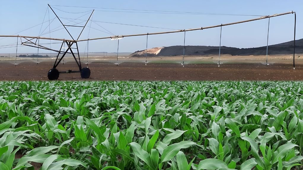 crops being irrigated