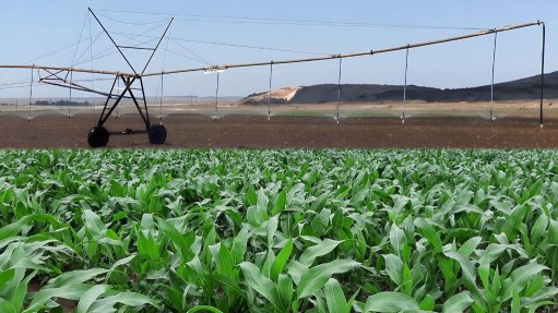 crops being irrigated