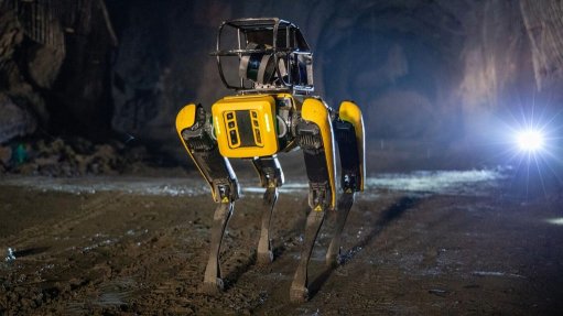 Automated robot Spot