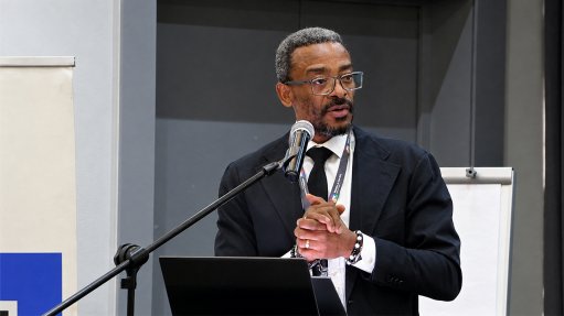 Minerals Council South Africa CEO Mzila Mthenjane.