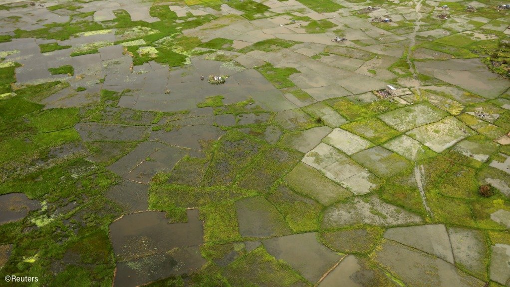 Flooded fields in Mozambique