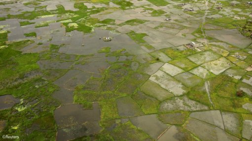 Flooded fields in Mozambique