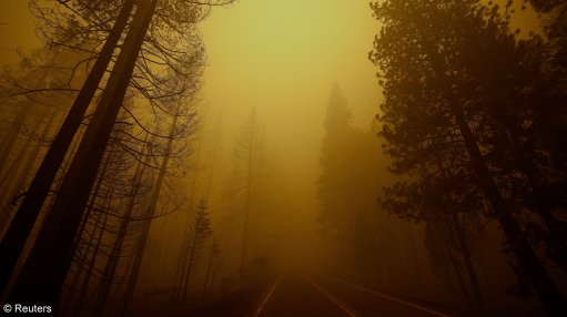 Wildfire smoke in a forest