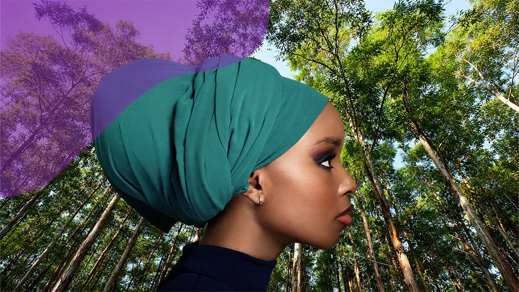 From forest plantation to fashion: the hidden start of your wardrobe