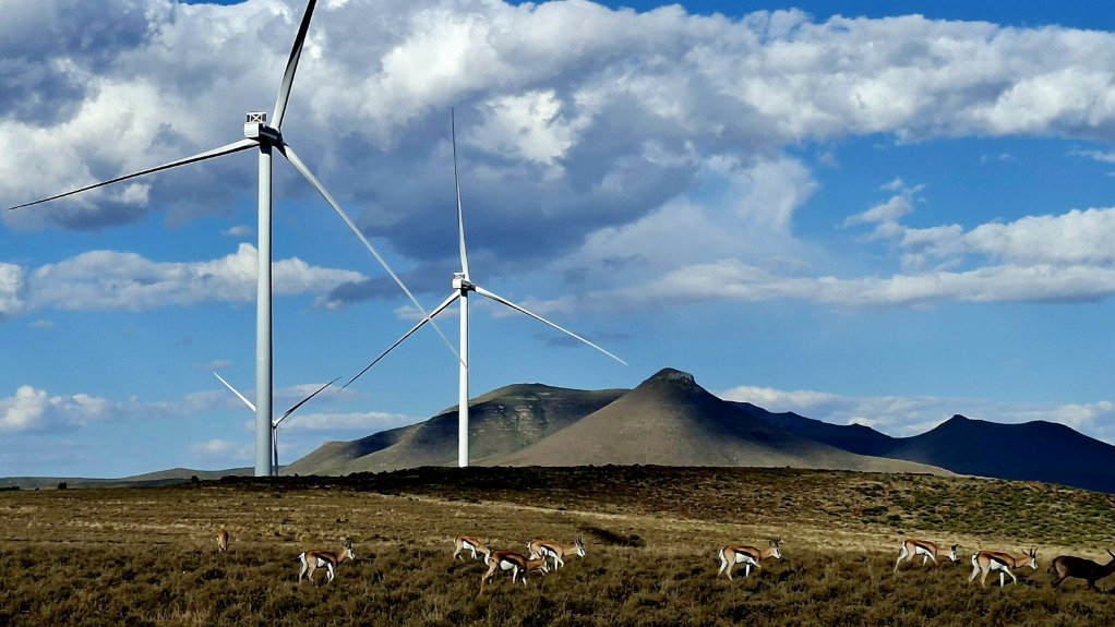 The Umsinde wind farm, one of the three 140 MW that make up the Northern Cluster