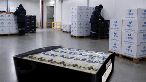Reliable Batteries Need Not Come With The Highest Price Tag