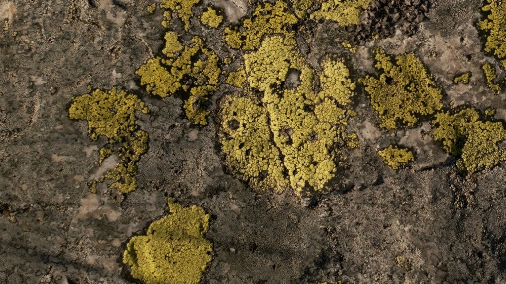 Uranium mineralisation