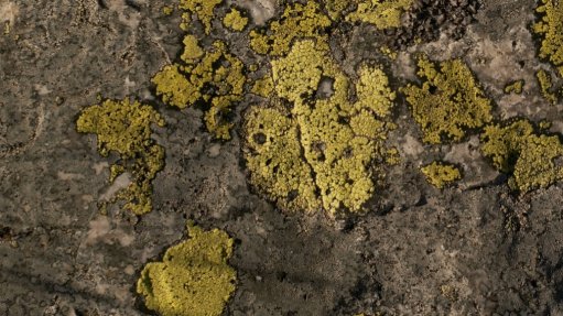 Uranium mineralisation