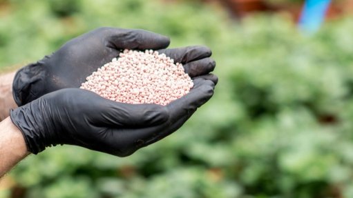 Phosphate pellets in hand