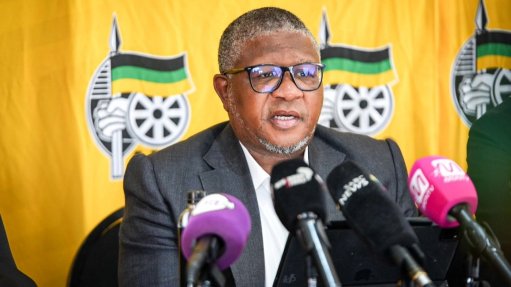 Image of Fikile Mbalula