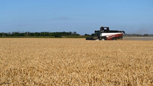 A combine harvester being used in a Russian wheat field