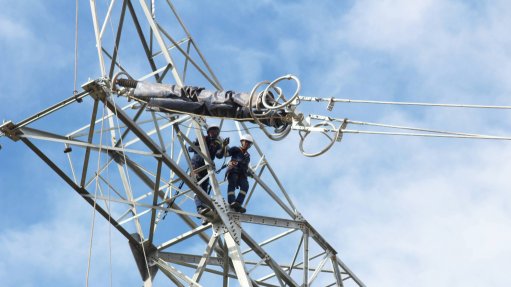 NTCSA employees building power pylons